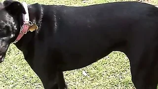 Milf Porn 6